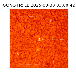 gong - 2025-09-30T03:00:42