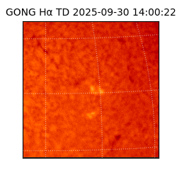 gong - 2025-09-30T14:00:22