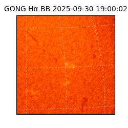 gong - 2025-09-30T19:00:02