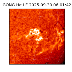 gong - 2025-09-30T06:01:42