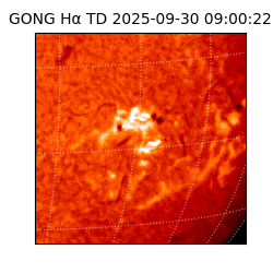 gong - 2025-09-30T09:00:22