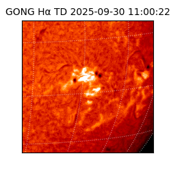 gong - 2025-09-30T11:00:22