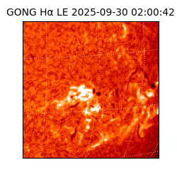 gong - 2025-09-30T02:00:42