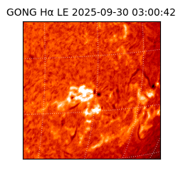 gong - 2025-09-30T03:00:42