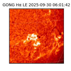 gong - 2025-09-30T06:01:42