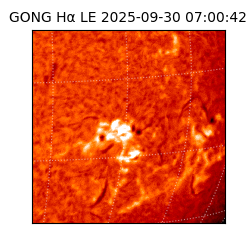 gong - 2025-09-30T07:00:42