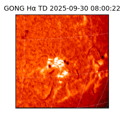 gong - 2025-09-30T08:00:22