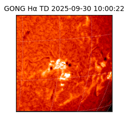 gong - 2025-09-30T10:00:22