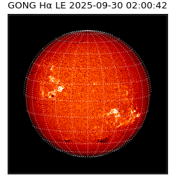 gong - 2025-09-30T02:00:42