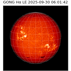 gong - 2025-09-30T06:01:42