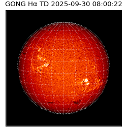 gong - 2025-09-30T08:00:22