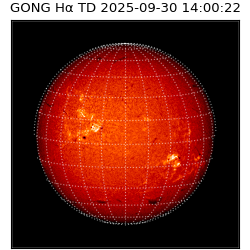 gong - 2025-09-30T14:00:22