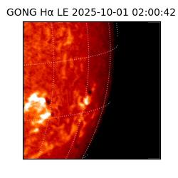 gong - 2025-10-01T02:00:42