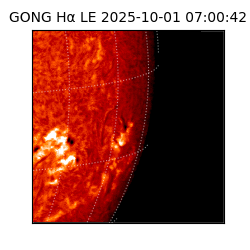 gong - 2025-10-01T07:00:42