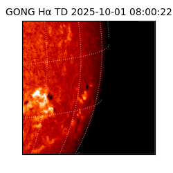 gong - 2025-10-01T08:00:22