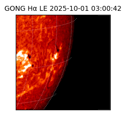 gong - 2025-10-01T03:00:42