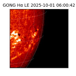 gong - 2025-10-01T06:00:42