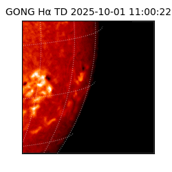 gong - 2025-10-01T11:00:22