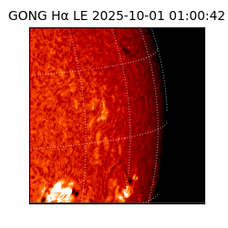 gong - 2025-10-01T01:00:42