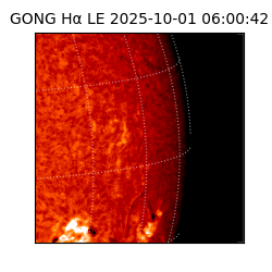 gong - 2025-10-01T06:00:42