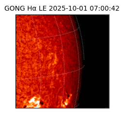 gong - 2025-10-01T07:00:42