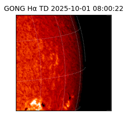 gong - 2025-10-01T08:00:22