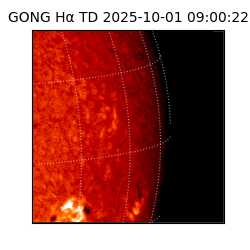 gong - 2025-10-01T09:00:22