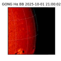gong - 2025-10-01T21:00:02