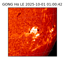 gong - 2025-10-01T01:00:42