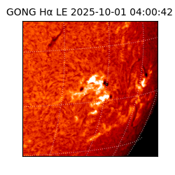 gong - 2025-10-01T04:00:42