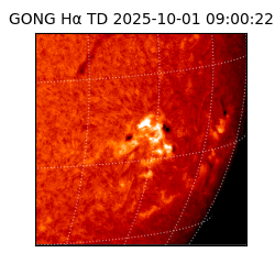gong - 2025-10-01T09:00:22