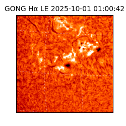 gong - 2025-10-01T01:00:42