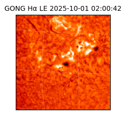 gong - 2025-10-01T02:00:42