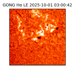 gong - 2025-10-01T03:00:42