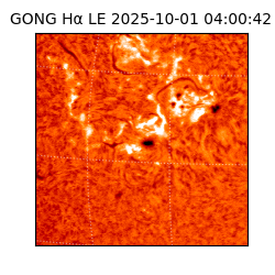 gong - 2025-10-01T04:00:42