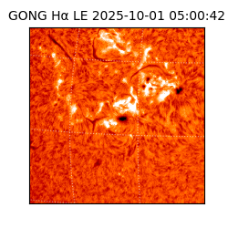 gong - 2025-10-01T05:00:42