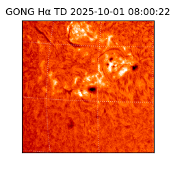 gong - 2025-10-01T08:00:22