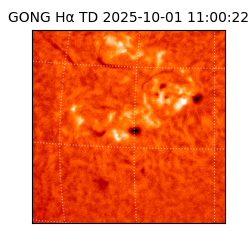 gong - 2025-10-01T11:00:22