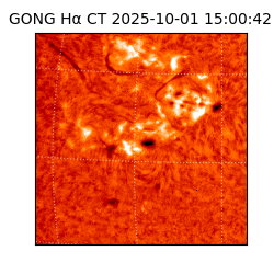 gong - 2025-10-01T15:00:42