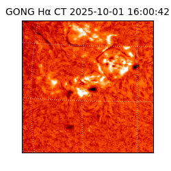 gong - 2025-10-01T16:00:42