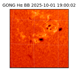 gong - 2025-10-01T19:00:02