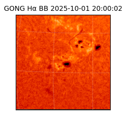 gong - 2025-10-01T20:00:02