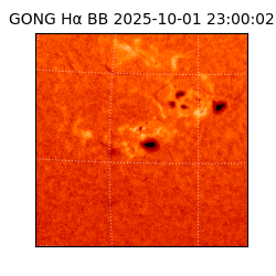 gong - 2025-10-01T23:00:02