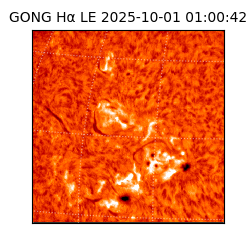 gong - 2025-10-01T01:00:42