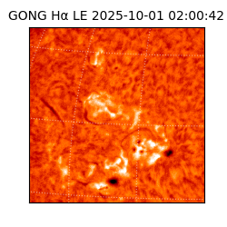 gong - 2025-10-01T02:00:42