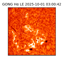 gong - 2025-10-01T03:00:42