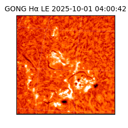 gong - 2025-10-01T04:00:42