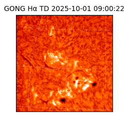 gong - 2025-10-01T09:00:22