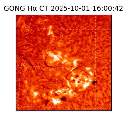 gong - 2025-10-01T16:00:42