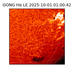 gong - 2025-10-01T01:00:42